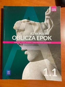 Oblicza Epok 1.1 Polski Chemperek WSiP