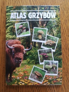 Atlas grzybów - Wiesław Kamiński 