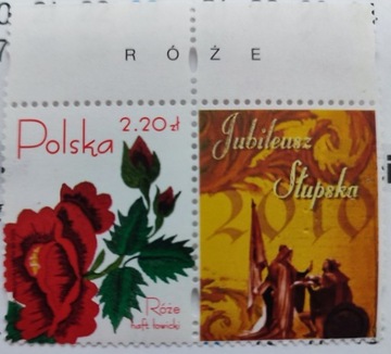 4047 Róże z przywieszką Jubileusz Słupska 2010