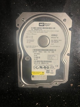 Dysk twardy Western Digital 80 GB SATA II 3,5"