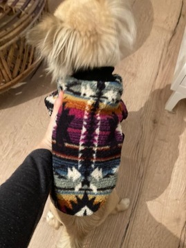 Ubranko dla małego psa S sweterek Polar
