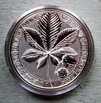 Moneta liść kasztanowca 2021r 