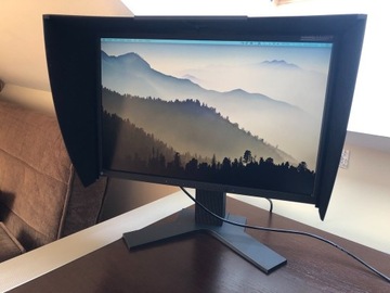 Monitor Eizo ColorEdge CG222W