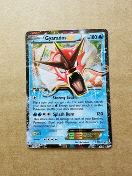 Gyarados - XY Black Star Promos - XYPR106 - Karta Pokemon od 1 zł