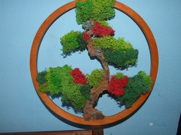 Obraz - drzewo z mchu chrobotka