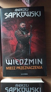 Wiedźmin Miecz Przeznaczenia