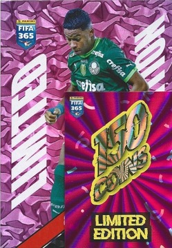 PANINI FIFA 365 2024 LIMITED XXL ENDRICK PALMEIRAS