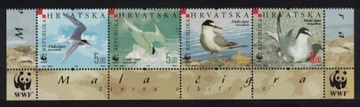 WWF fauna ptaki 774 -7**
