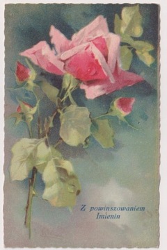 C,Klein RÓŻA Kwiaty 1930r.  do Zabrzyce Polesie  