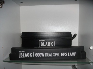 Zestaw Lumi black + lampa + odbłyśnik 