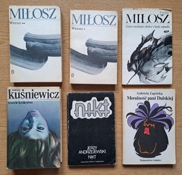 29 książek  Liter polska albumy poradniki słowniki