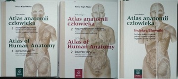 Atlas anatomii człowieka Wolfa-Heideggera