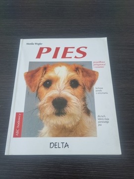 Pies Delta