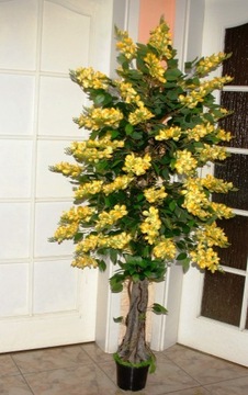 Drzewko sztuczne kwitnące 175 cm