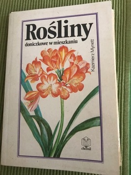 Rośliny doniczkowe w mieszkaniu 