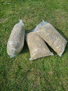 Siano łąkowe dla małych gryzoni - 3 x 1 kg.