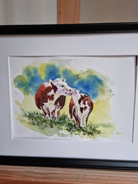 Obrazek krowy 30x40cm