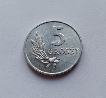 5 groszy 1949 r. Al - aluminium - stan 1