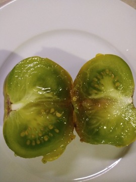 Pomidor Kiwi Nasiona 