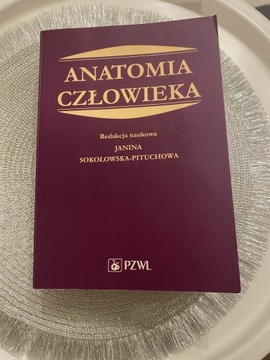 Anatomia Człowieka 