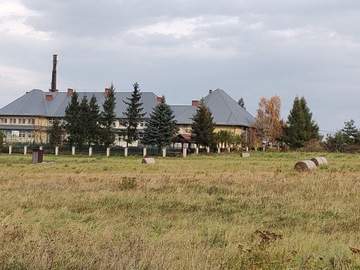 Podcinka drzew na wysokości, metoda alpinistyczna.