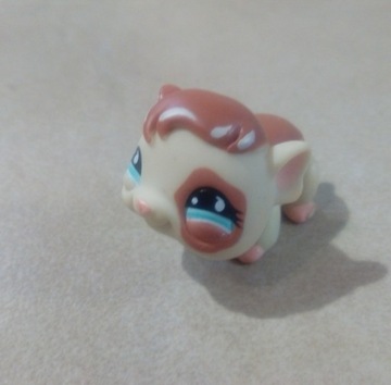 Littlest pet shop figurka chomik świnka lps Hasbro