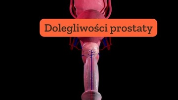 PROSTATA stany zapalne, ból MĘŻCZYŹNI