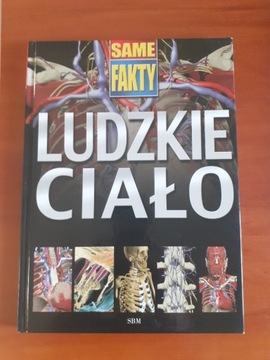 Same Fakty Ludzkie Ciało