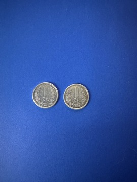 Moneta 1 zł 1989 rok
