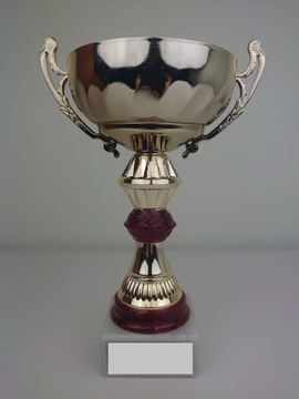 Puchar złoty trofeum, nagroda