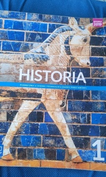 Podręcznik Historia 1 wsip
