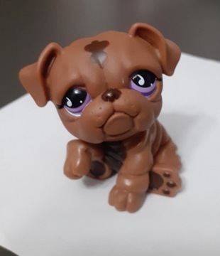 Littlest Pet Shop Piesek Buldog LPS#881 Hasbro