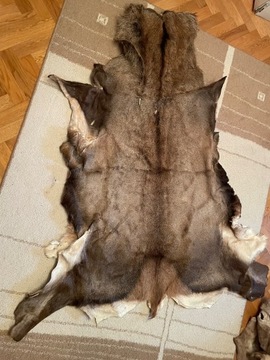 skóra z jelenia: dywan lub na ścianę