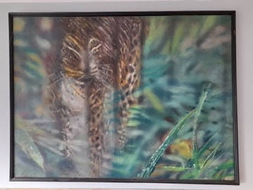 Obraz olejny na płotnie "Gepard"J.Dziurawiec 60x80