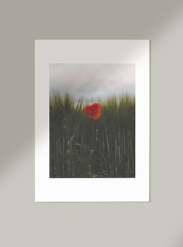 PLAKAT projektanta wnętrz SAMOTNY MAK 40x50 cm