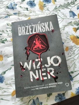 Książka Wizjoner Diana Brzezińska jak nowa