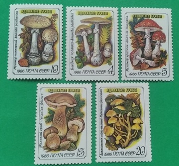 Znaczki pocztowe tematyczne - grzyby
