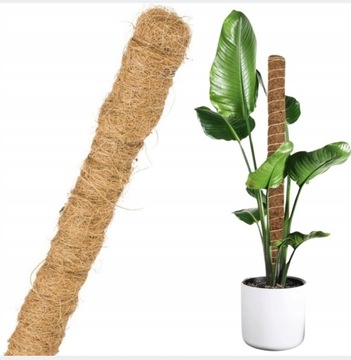 Palik kokosowy 40 cm podpora do rośliny