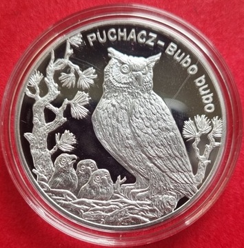 20 zł Puchacz 2005 r, srebro 925 ,mennicza