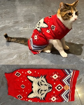 Sweter dla kota/psa 