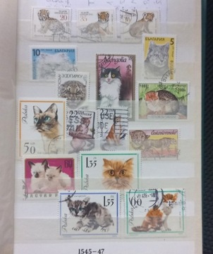 Zestaw znaczków pocztowych - kotki