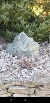 Kamień ,  serpentynit 