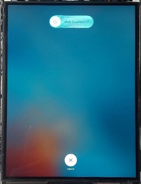 Apple iPad Mini A1432 - ekran lcd