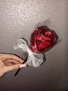 Róża w kolorze burgundowym 