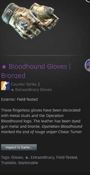 BLOODHOUND GLOVES Bronzed CS go