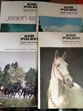 Koń Polski . Hodowla, sport, export. Rocznik 1979 