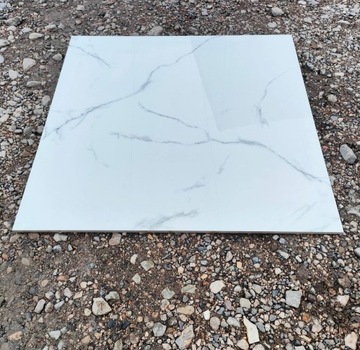 Płytka gresowa NEO WHITE POLER 60x60(cm)