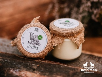 Jogurt 100% owczy naturalny | Bacówka na Bukowinie