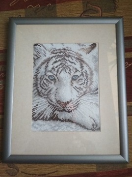 Biały Tygrys - Obraz haftowany haft-krzyżykowy