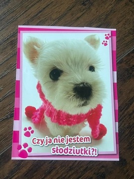 Pocztówka obrazek cute słodki pies dog